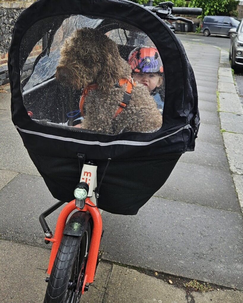 A child and a dog inside the Muli rain cover on a Muli cargo bike