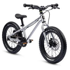 Early Rider Seeker 16 Kids Bike (Age 4-6)
